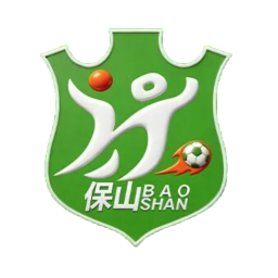保山隊