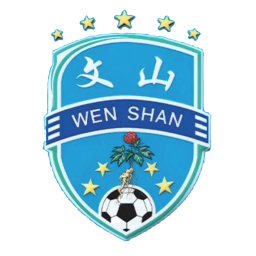 文山隊